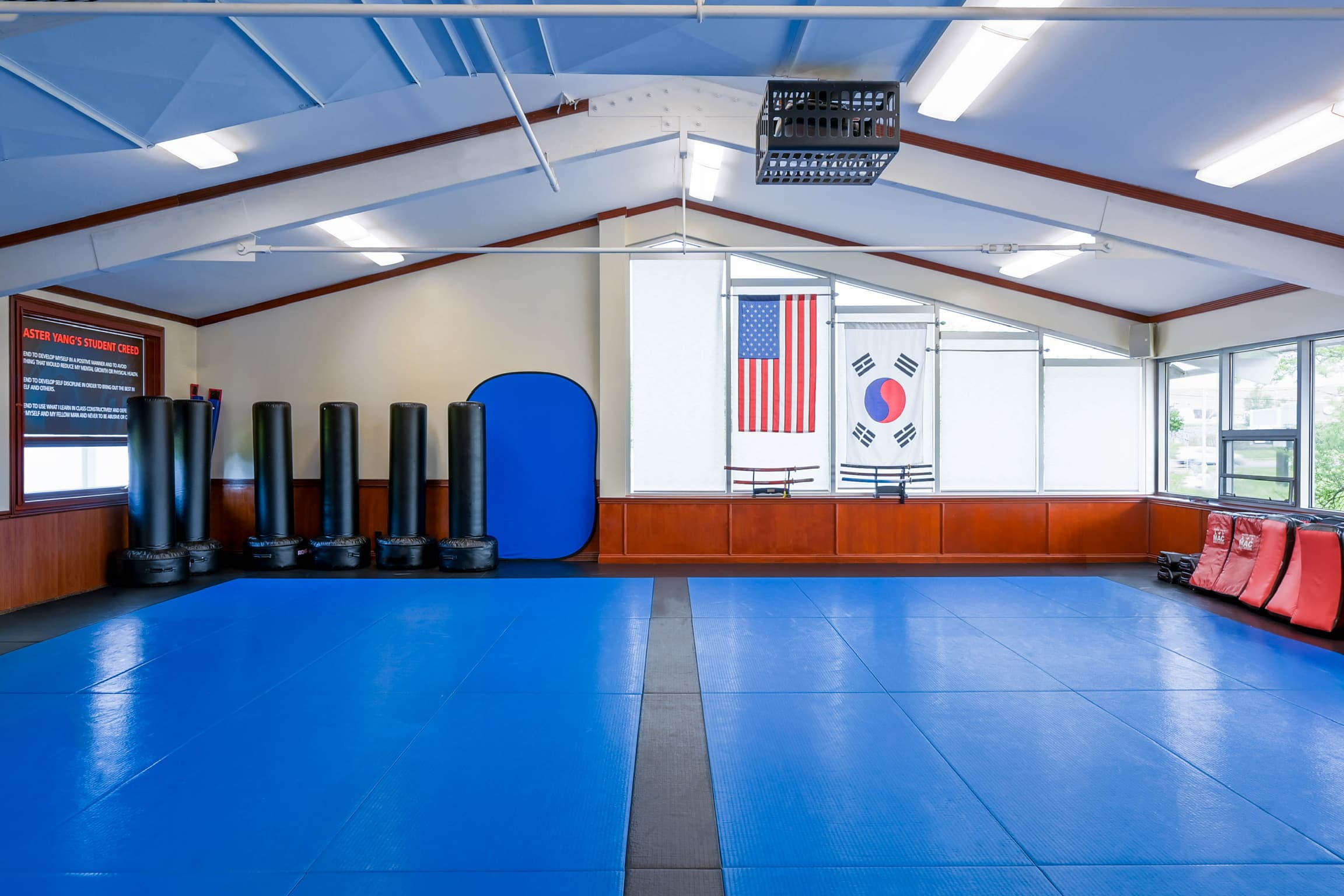 Blue Mat